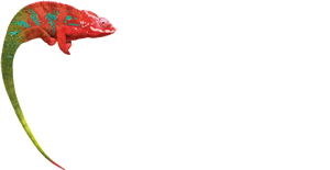 Logo Räume im Wandel